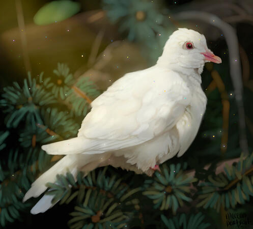 Digital | Animal Portrait | Complex Background