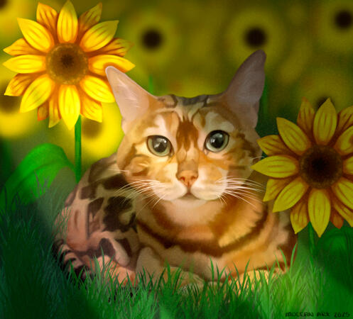 Digital | Pet Portrait | Complex Background