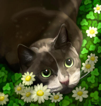 Digital | Pet Portrait | Complex Background