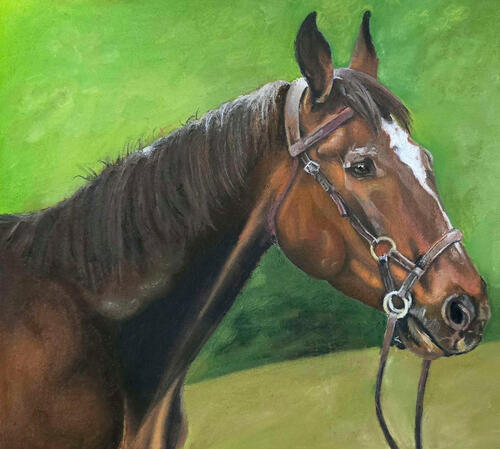 Traditional | Pet Portrait | Simple Background