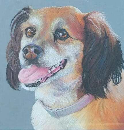 Traditional | Pet Portrait | Simple Background